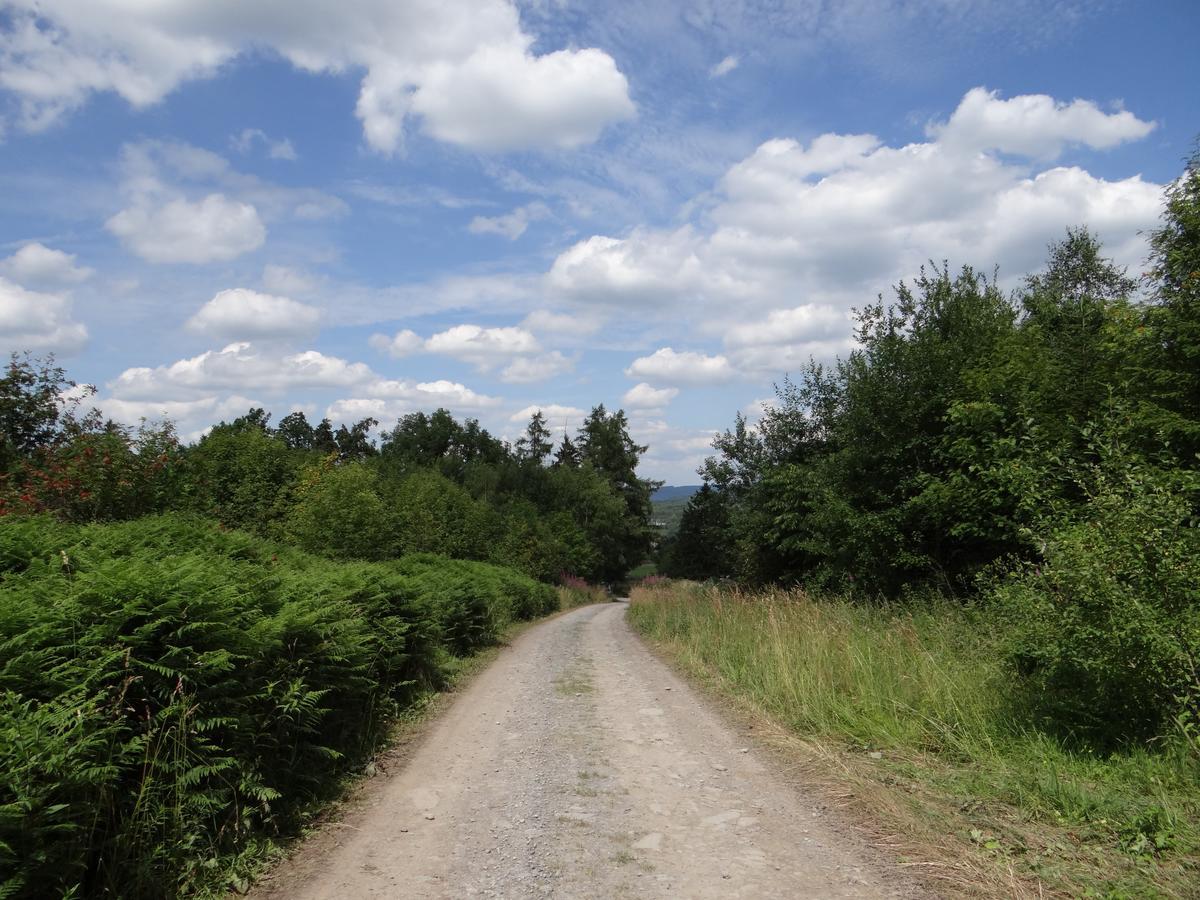 B&B Les Tilleuls Vielsalm Luaran gambar